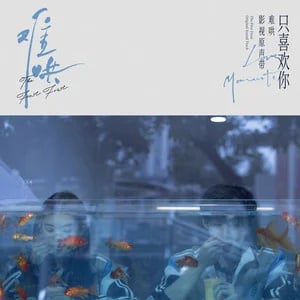 只喜欢你Love Moments